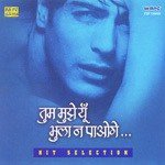 Tum Mujhe Yun Bhula Na Paoge - Shalini Song Download