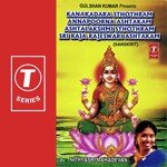 Kanakadara Sthothram Annapoorna Ashtakam Ashtalakshmi Sthothram Sri Raja Rajeswari Ashtakam - Shalini Song Download